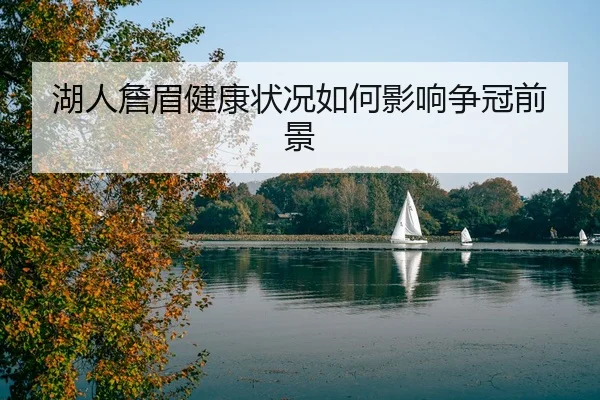 湖人詹眉健康状况如何影响争冠前景
